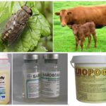 Protéger les animaux des piqûres d'insectes suceurs de sang