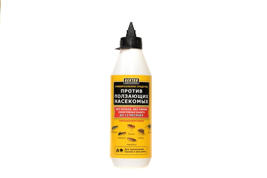 Gektor contre les insectes rampants