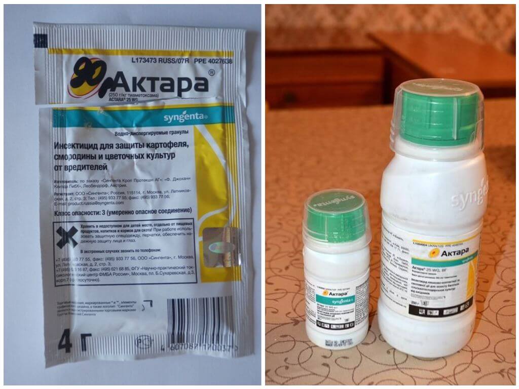 Aktara από το σκαθάρι της πατάτας του Κολοράντο