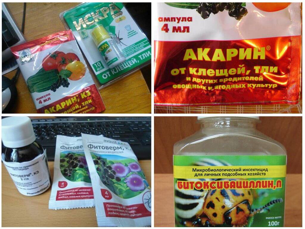 Produits biologiques contre les doryphores