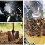 Moyens de combattre les abeilles de la terre