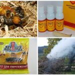 Moyens de lutter contre les insectes dans le jardin