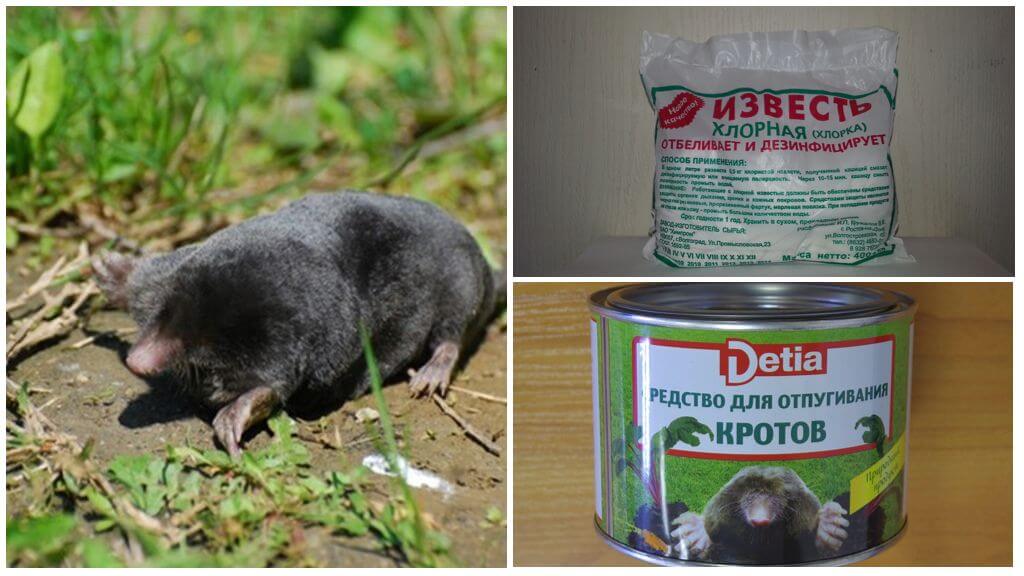 Mole Chemicals