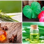 Huiles essentielles de moustiques