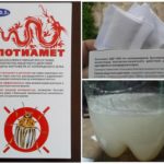 Clotiamet du doryphore de la pomme de terre