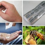 Traitement de l'allergie par morsure