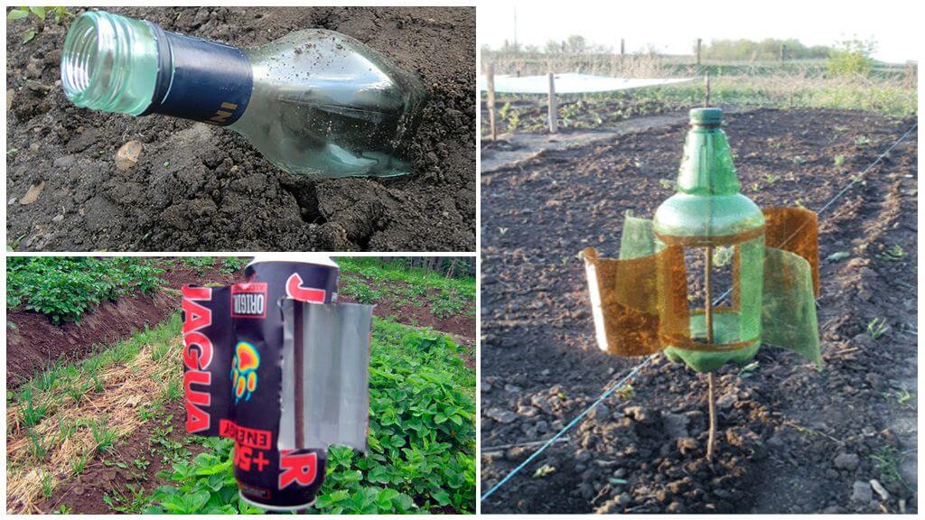 Dispositifs acoustiques pour effacer les taupes du jardin