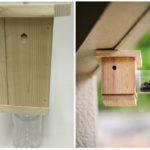 Pièges à abeilles charpentiers