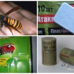 Plaques et bombes fumigènes de frelons