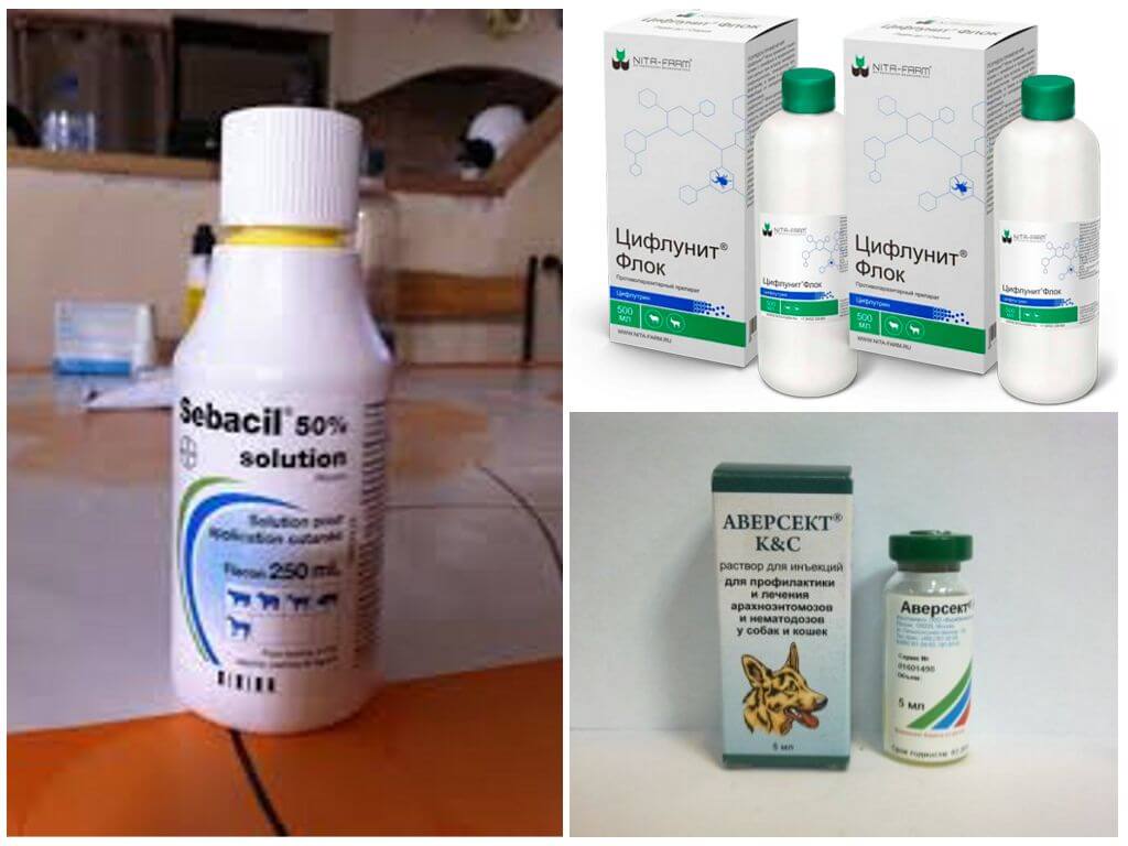 Médicaments spéciaux contre les insectes