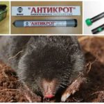 Scarole de taupe électronique