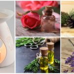 Aromamasla contre les moustiques