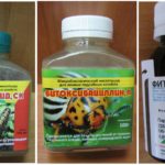 Agents biologiques contre les chenilles