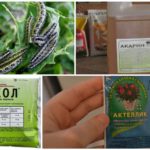 Produits chimiques pour le combat des chenilles