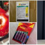 Produits chimiques toxiques pour lutter contre les chenilles