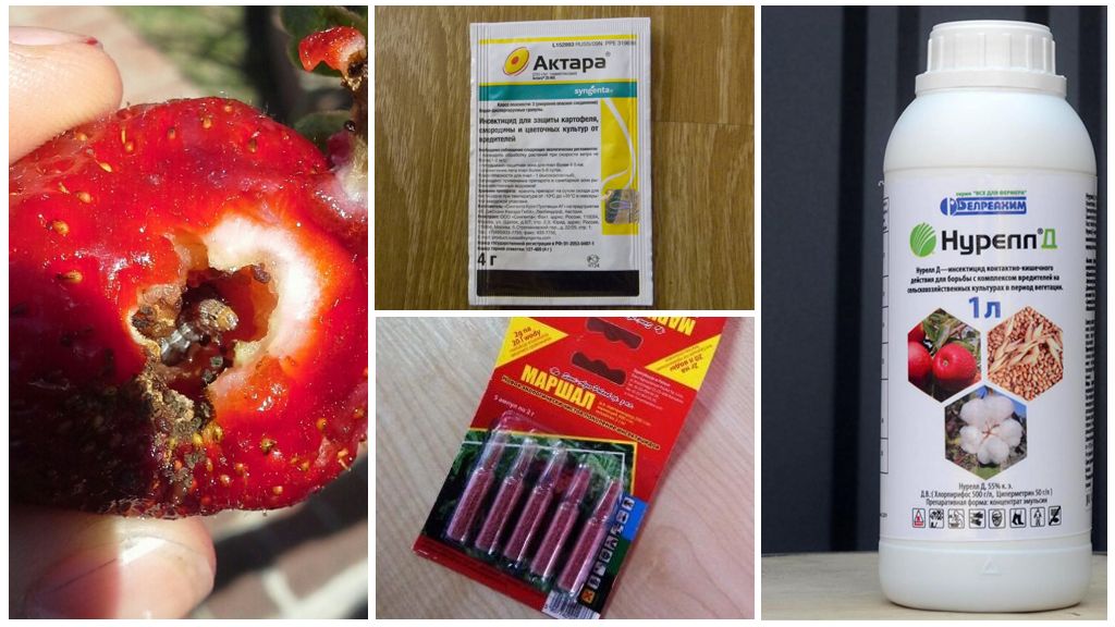 Produits chimiques toxiques pour lutter contre les chenilles