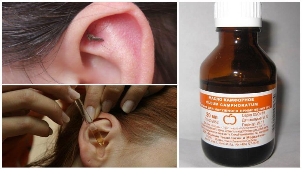 Moustique a volé dans l'oreille