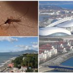 Les moustiques dans le territoire de Krasnodar