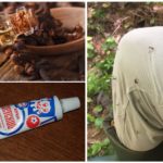 Crème Moustique à l'huile de girofle