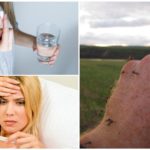 Médicament à la température des piqûres de moustiques