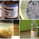 Lutte antiparasitaire populaire