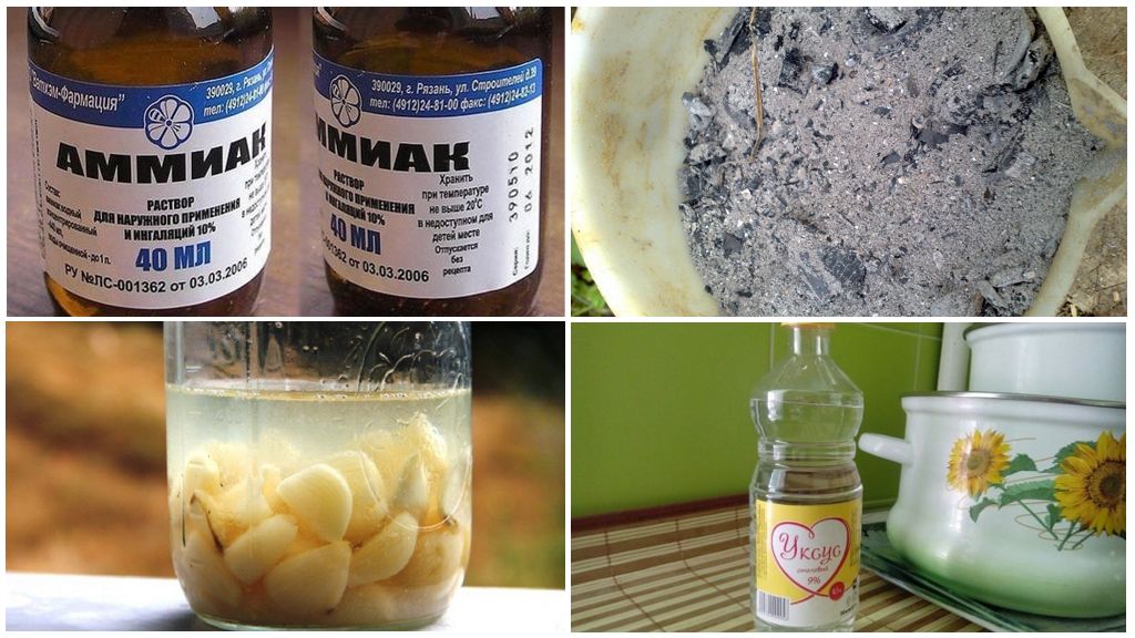 Lutte antiparasitaire populaire