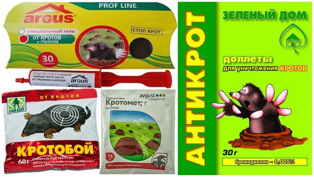 Appâts empoisonnés contre les taupes
