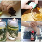 Répulsifs contre les moustiques maison
