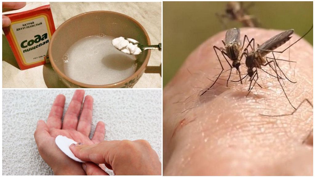 Les piqûres de moustiques soude