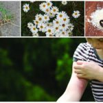 Anti-moustique pour les enfants
