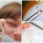 Analyse de l'encéphalite et d'autres maladies