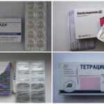 Antibiotiques pour la borréliose