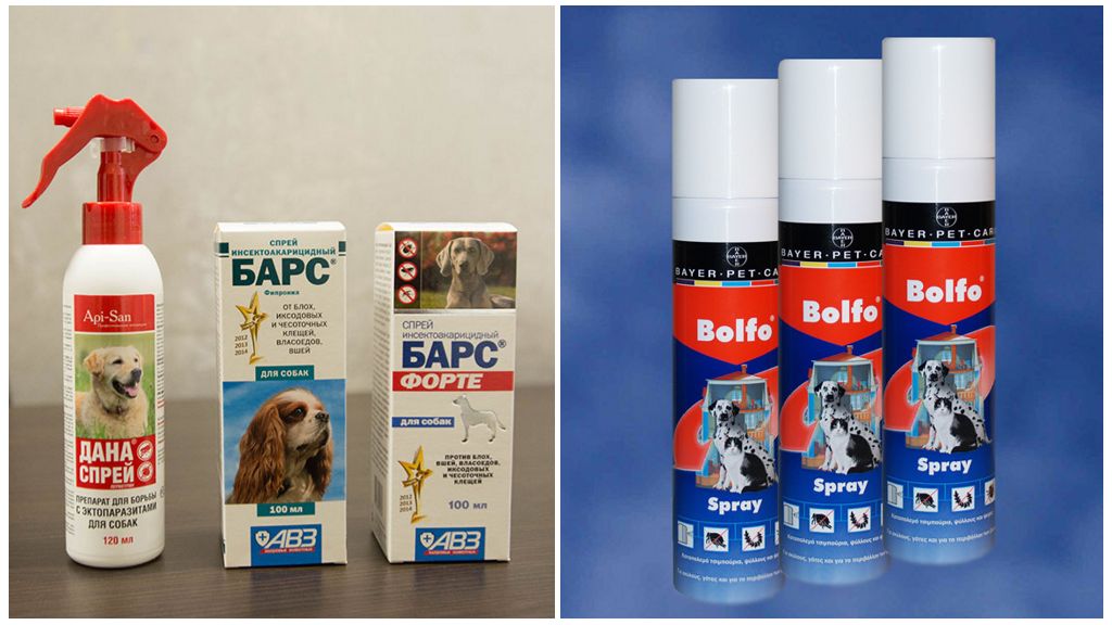 Sprays pour chiens contre les tiques