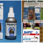 Moyens Bars de tiques pour animaux domestiques