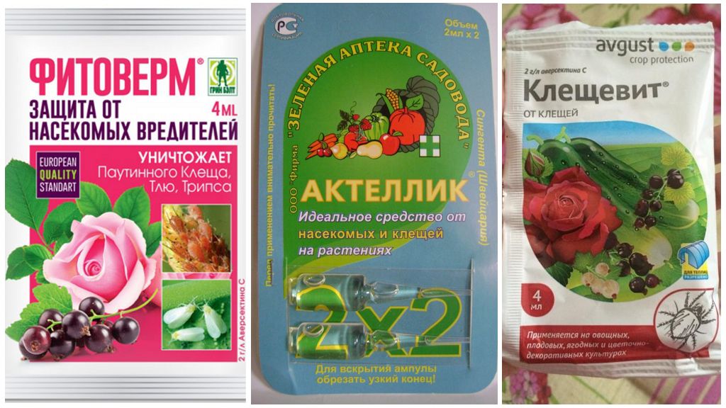 Produits biologiques pour le contrôle des tiques