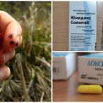 Le médicament Doxycycline pour la prévention de la piqûre de tique