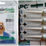 Gouttes pour chiens de tiques