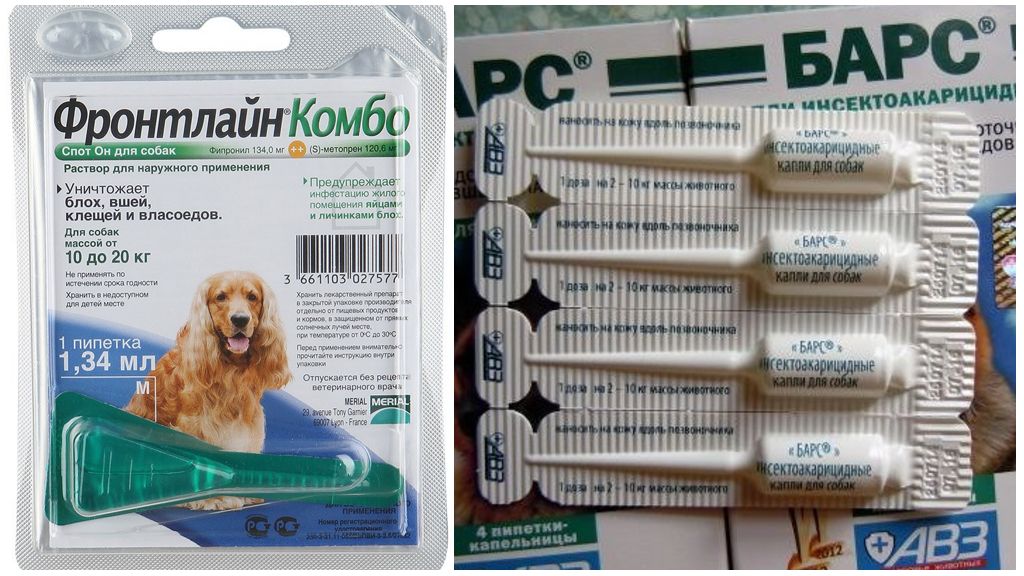 Gouttes pour chiens de tiques