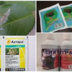 Produits chimiques Caterpillar