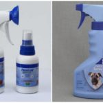 Sprays pour chiens contre les tiques