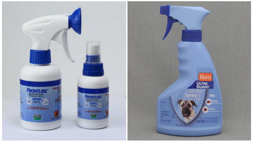 Sprays pour chiens contre les tiques