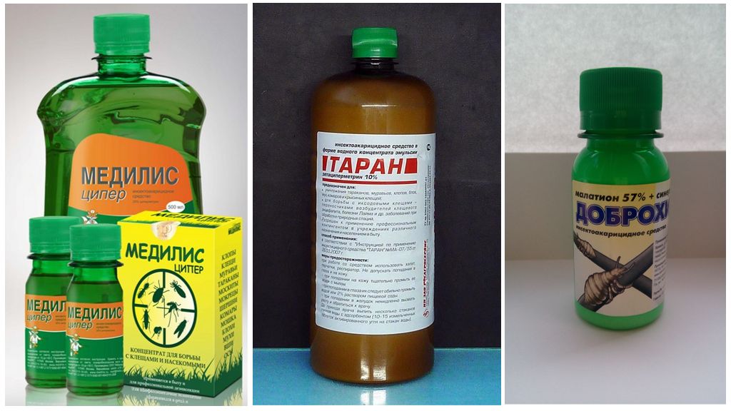 Produits chimiques contre les tiques