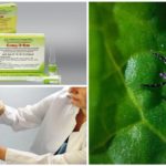 Utilisation du vaccin Tick-E-Vac