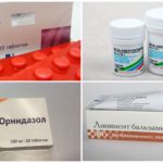 Médicaments contre les acariens
