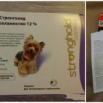 Gouttes pour chiens de tiques
