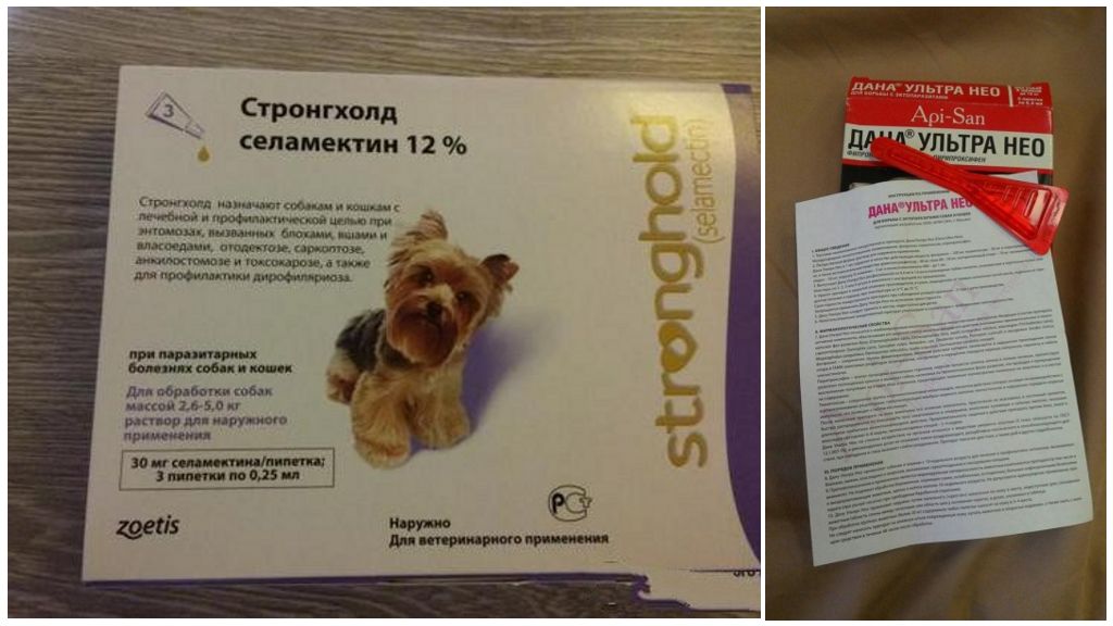 Gouttes pour chiens de tiques