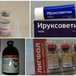Préparations pour le traitement des maladies causées par les tiques