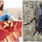 Intoxication intestinale due aux asticots