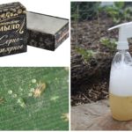 Solution de savon de tétranyque