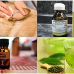 Recettes populaires pour le traitement de l'otodécose